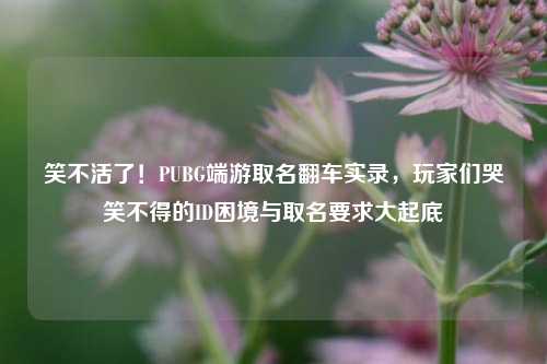 笑不活了!PUBG端游取名翻车实录,玩家们哭笑不得的ID困境与取名要求大起底