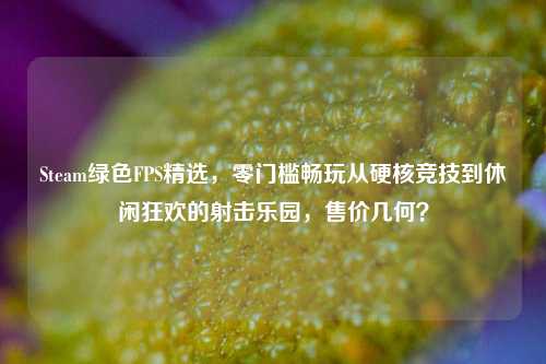 Steam绿色FPS精选,零门槛畅玩从硬核竞技到休闲狂欢的射击乐园,售价几何?