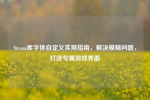 Steam库字体自定义实用指南,解决模糊问题,打造专属游戏界面