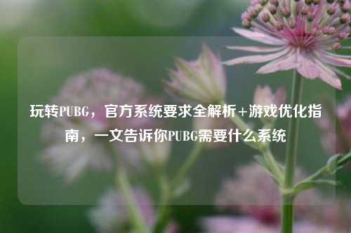 玩转PUBG,官方系统要求全解析+游戏优化指南,一文告诉你PUBG需要什么系统
