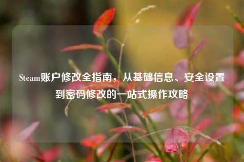 Steam账户修改全指南，从基础信息、安全设置到密码修改的一站式操作攻略