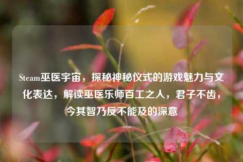 Steam巫医宇宙,探秘神秘仪式的游戏魅力与文化表达,解读巫医乐师百工之人,君子不齿,今其智乃反不能及的深意