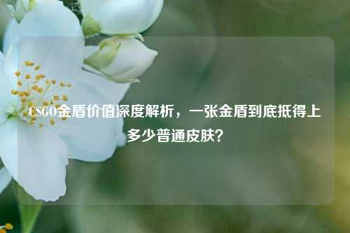 CSGO金盾价值深度解析,一张金盾到底抵得上多少普通皮肤?