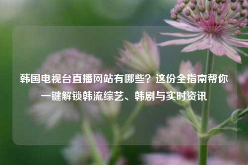 韩国电视台直播网站有哪些?这份全指南帮你一键解锁韩流综艺、韩剧与实时资讯