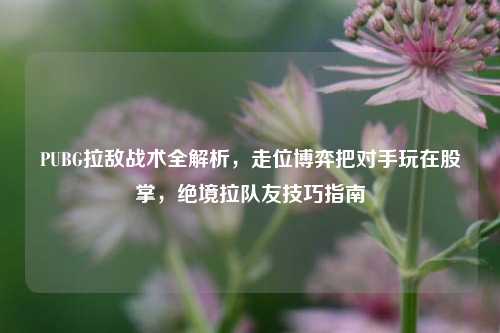 PUBG拉敌战术全解析，走位博弈把对手玩在股掌，绝境拉队友技巧指南
