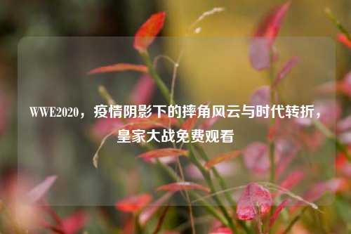 WWE2020，疫情阴影下的摔角风云与时代转折，皇家大战免费观看
