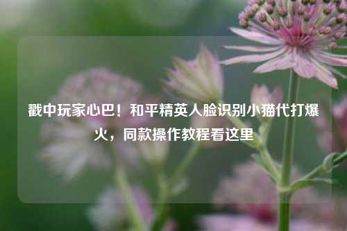 戳中玩家心巴!和平精英人脸识别小猫代打爆火,同款操作教程看这里