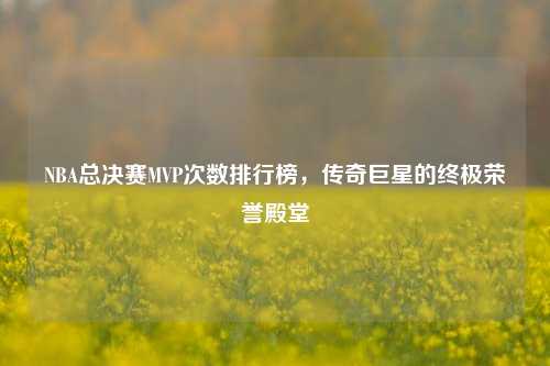 NBA总决赛MVP次数排行榜,传奇巨星的终极荣誉殿堂