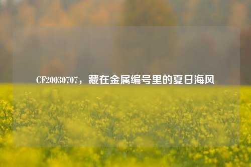 CF20030707，藏在金属编号里的夏日海风