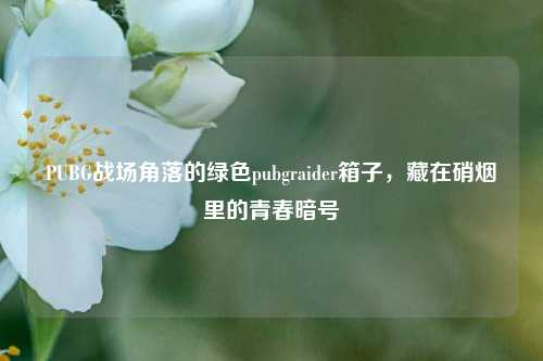 PUBG战场角落的绿色pubgraider箱子，藏在硝烟里的青春暗号