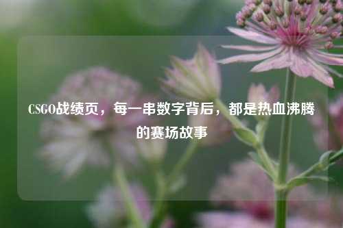 CSGO战绩页，每一串数字背后，都是热血沸腾的赛场故事