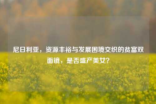 尼日利亚,资源丰裕与发展困境交织的贫富双面镜,是否盛产美女?