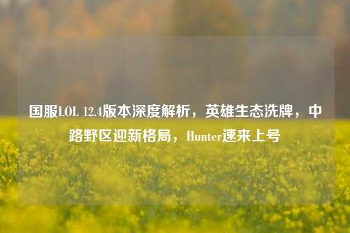 国服LOL 12.4版本深度解析，英雄生态洗牌，中路野区迎新格局，Hunter速来上号