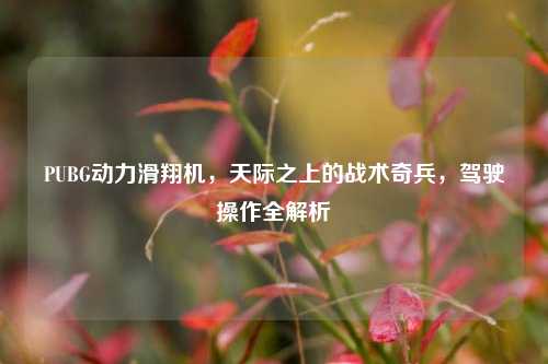 PUBG动力滑翔机，天际之上的战术奇兵，驾驶操作全解析