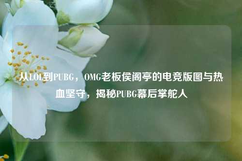 从LOL到PUBG,OMG老板侯阁亭的电竞版图与热血坚守,揭秘PUBG幕后掌舵人
