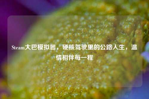 Steam大巴模拟器，硬核驾驶里的公路人生，温情相伴每一程