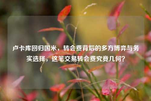卢卡库回归国米，转会费背后的多方博弈与务实选择，这笔交易转会费究竟几何？