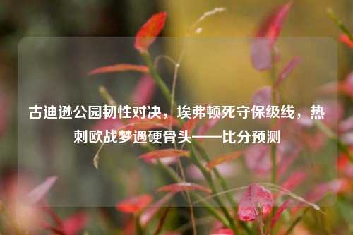 古迪逊公园韧性对决,埃弗顿死守保级线,热刺欧战梦遇硬骨头——比分预测