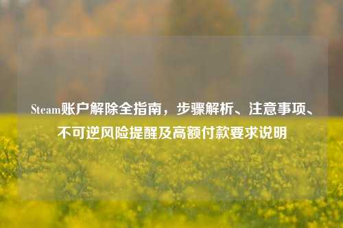 Steam账户解除全指南,步骤解析、注意事项、不可逆风险提醒及高额付款要求说明