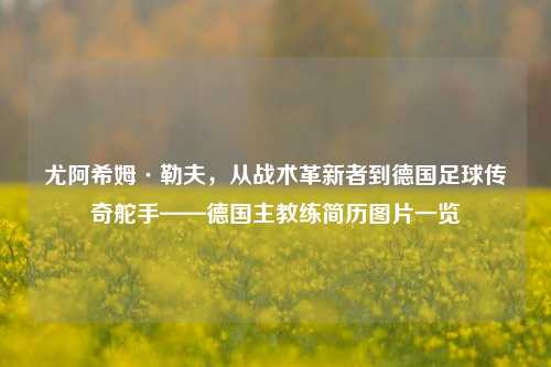 尤阿希姆·勒夫，从战术革新者到德国足球传奇舵手——德国主教练简历图片一览