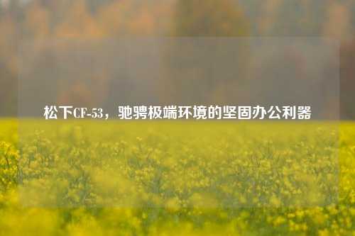 松下CF-53,驰骋极端环境的坚固办公利器