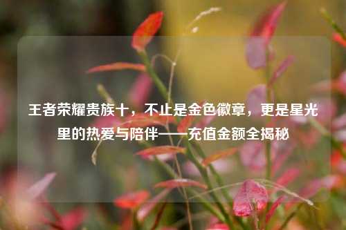 王者荣耀贵族十，不止是金色徽章，更是星光里的热爱与陪伴——充值金额全揭秘