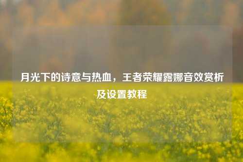月光下的诗意与热血,王者荣耀露娜音效赏析及设置教程