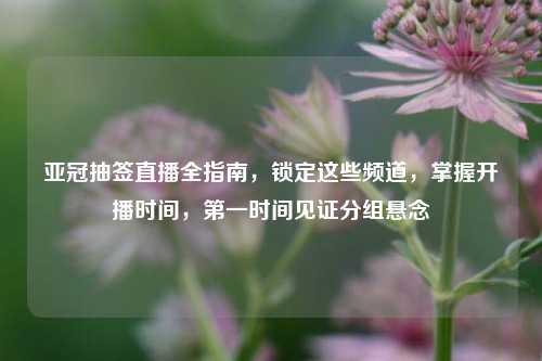 亚冠抽签直播全指南,锁定这些频道,掌握开播时间,第一时间见证分组悬念