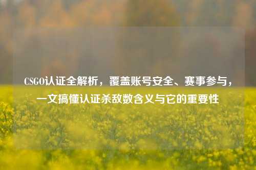 CSGO认证全解析,覆盖账号安全、赛事参与,一文搞懂认证杀敌数含义与它的重要性