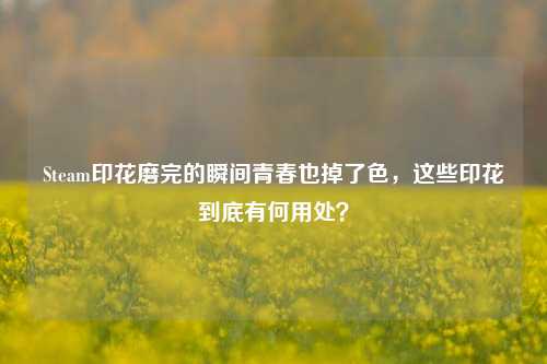 Steam印花磨完的瞬间青春也掉了色，这些印花到底有何用处？