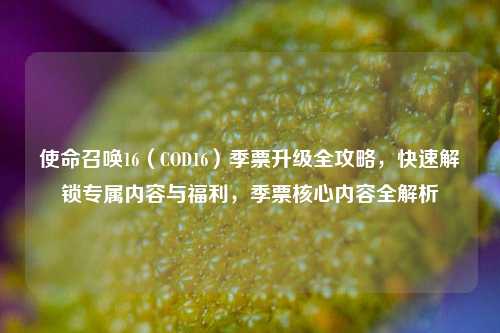 使命召唤16（COD16）季票升级全攻略，快速解锁专属内容与福利，季票核心内容全解析