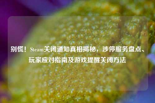 别慌!Steam关闭通知真相揭秘,涉停服务盘点、玩家应对指南及游戏提醒关闭方法