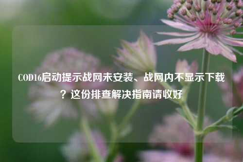 COD16启动提示战网未安装、战网内不显示下载?这份排查解决指南请收好