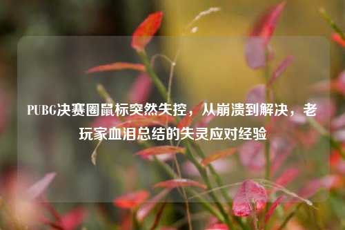 PUBG决赛圈鼠标突然失控,从崩溃到解决,老玩家血泪总结的失灵应对经验