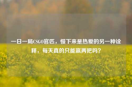 一日一局CSGO官匹,慢下来是热爱的另一种诠释,每天真的只能赢两把吗?