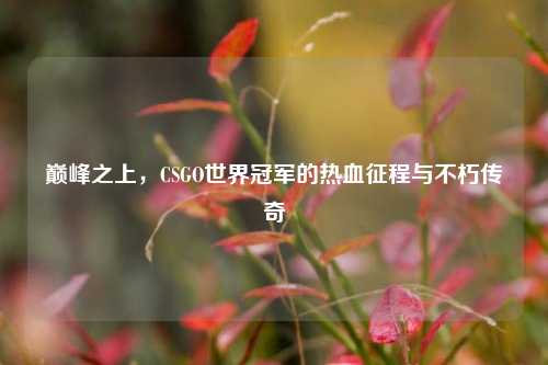 巅峰之上,CSGO世界冠军的热血征程与不朽传奇