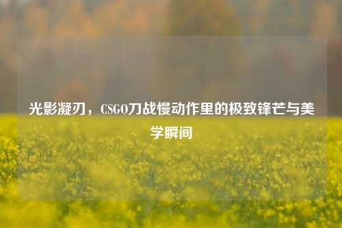 光影凝刃,CSGO刀战慢动作里的极致锋芒与美学瞬间