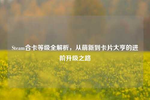 Steam合卡等级全解析,从萌新到卡片大亨的进阶升级之路