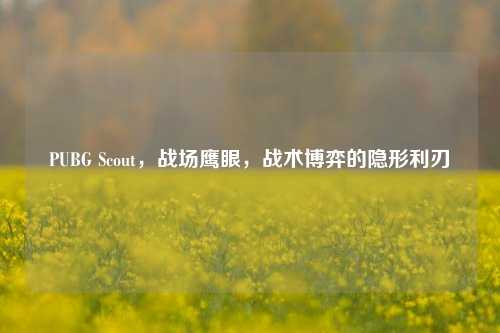PUBG Scout,战场鹰眼,战术博弈的隐形利刃