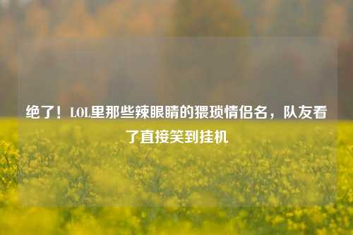 绝了!LOL里那些辣眼睛的猥琐情侣名,队友看了直接笑到挂机