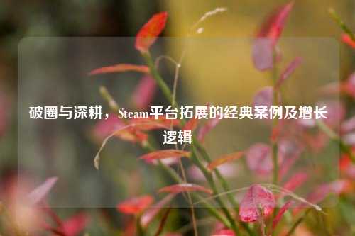 破圈与深耕,Steam平台拓展的经典案例及增长逻辑