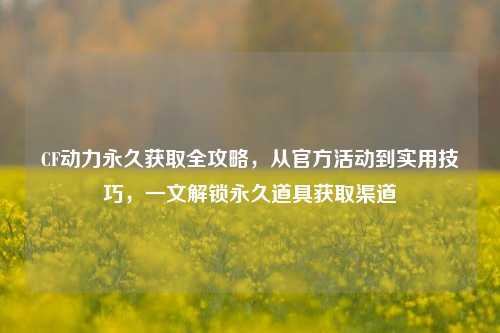 CF动力永久获取全攻略,从官方活动到实用技巧,一文解锁永久道具获取渠道