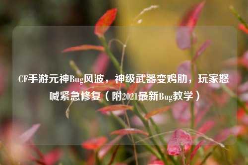 CF手游元神Bug风波,神级武器变鸡肋,玩家怒喊紧急修复(附2021最新Bug教学)