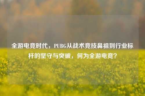 全游电竞时代,PUBG从战术竞技鼻祖到行业标杆的坚守与突破,何为全游电竞?