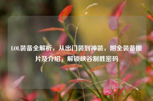 LOL装备全解析,从出门装到神装,附全装备图片及介绍,解锁峡谷制胜密码