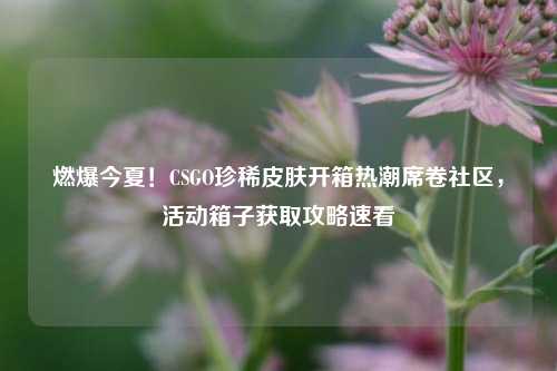 燃爆今夏!CSGO珍稀皮肤开箱热潮席卷社区,活动箱子获取攻略速看