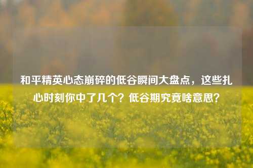 和平精英心态崩碎的低谷瞬间大盘点，这些扎心时刻你中了几个？低谷期究竟啥意思？