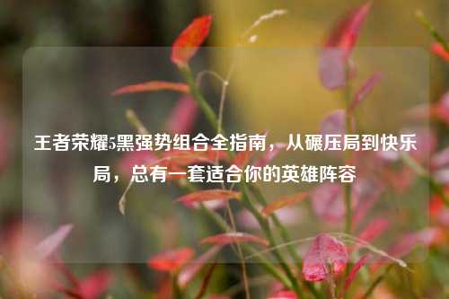 王者荣耀5黑强势组合全指南，从碾压局到快乐局，总有一套适合你的英雄阵容