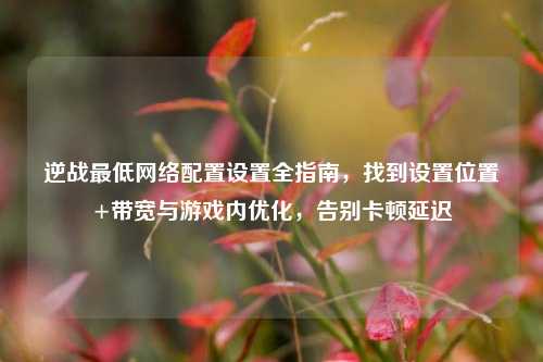 逆战最低网络配置设置全指南,找到设置位置+带宽与游戏内优化,告别卡顿延迟