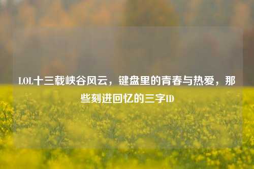 LOL十三载峡谷风云,键盘里的青春与热爱,那些刻进回忆的三字ID